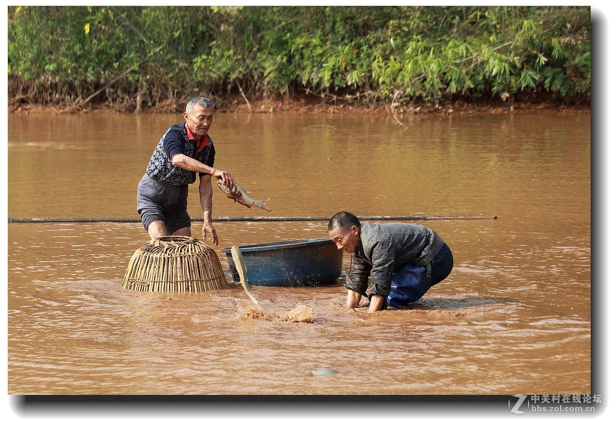 #佳能EOS M6感受温暖冬日#_四川的暖冬