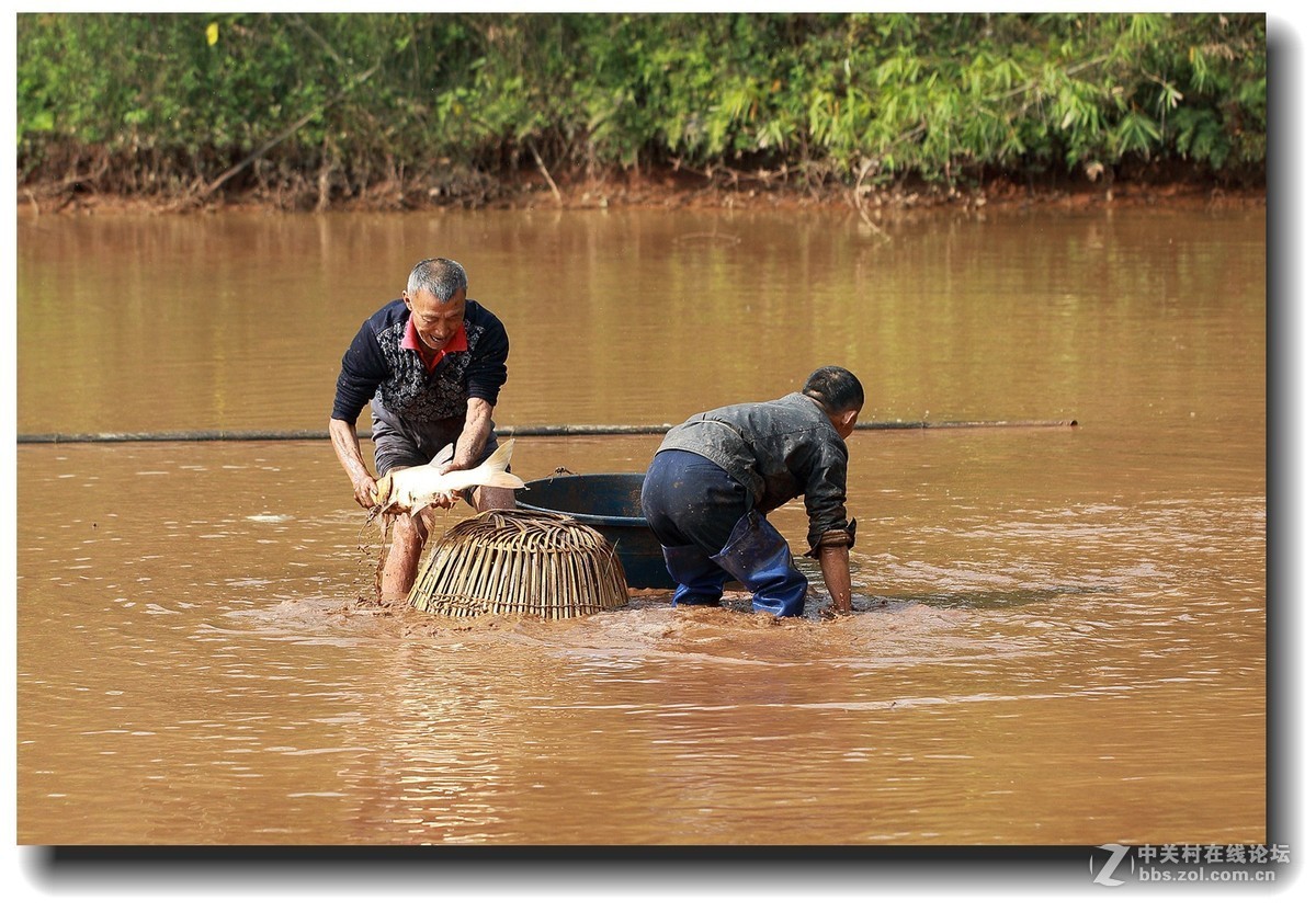 #佳能EOS M6感受温暖冬日#_四川的暖冬
