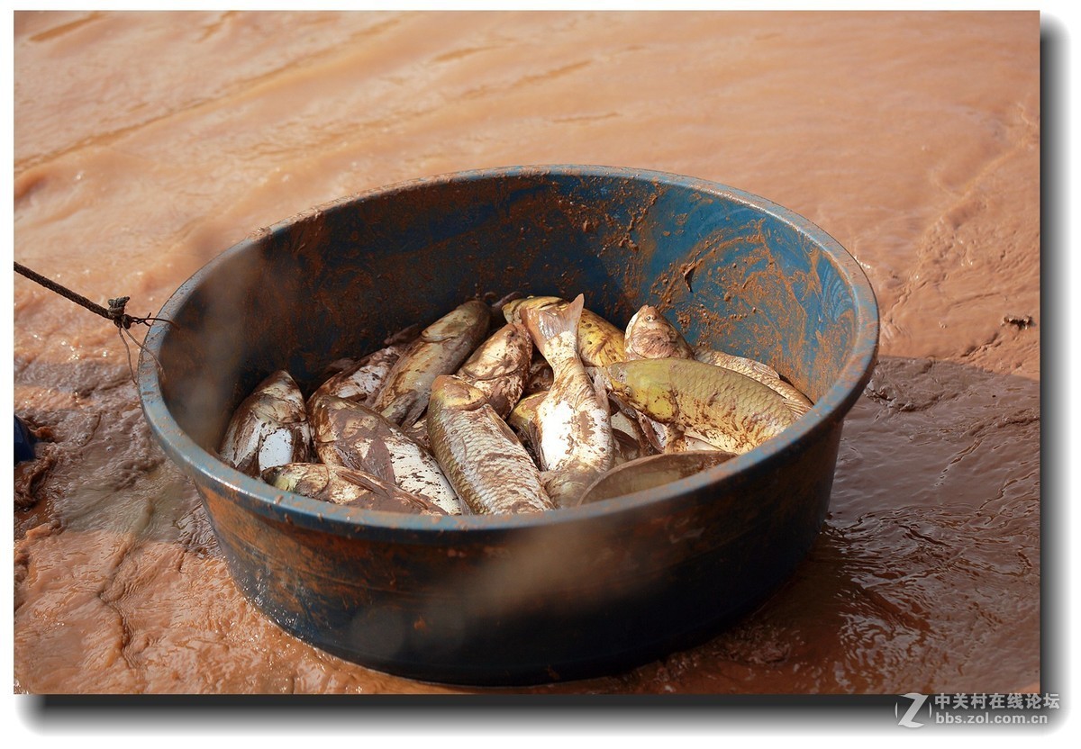 #佳能EOS M6感受温暖冬日#_四川的暖冬