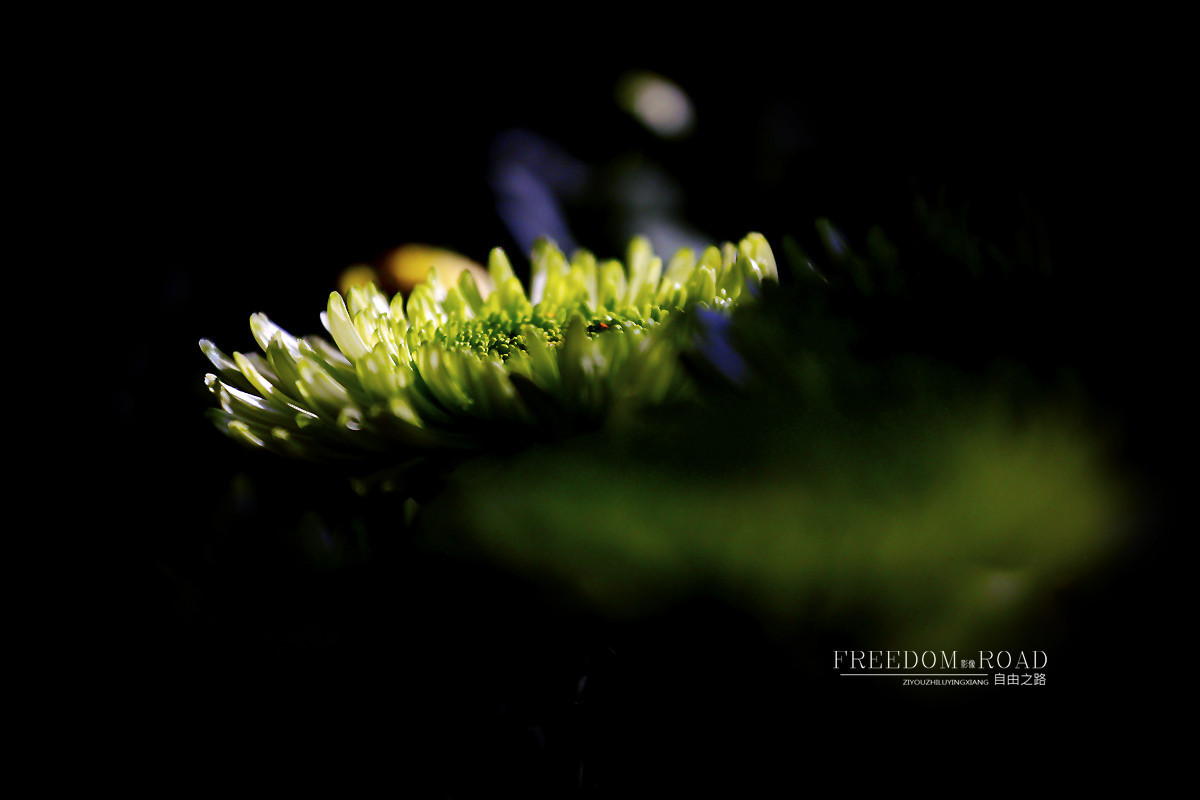 #版主坐堂#【天津版块】2015年11月金钻精华汇总