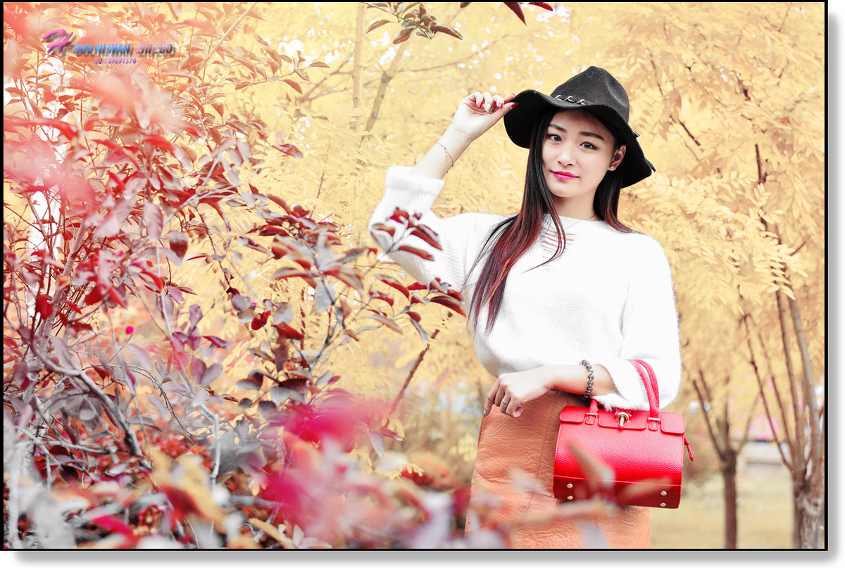 #版主坐堂#【天津版块】2015年11月金钻精华汇总