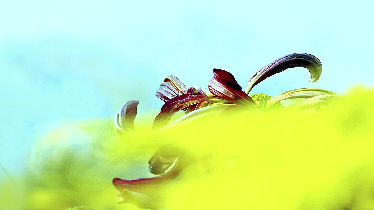 #版主坐堂#【天津版块】2015年11月金钻精华汇总