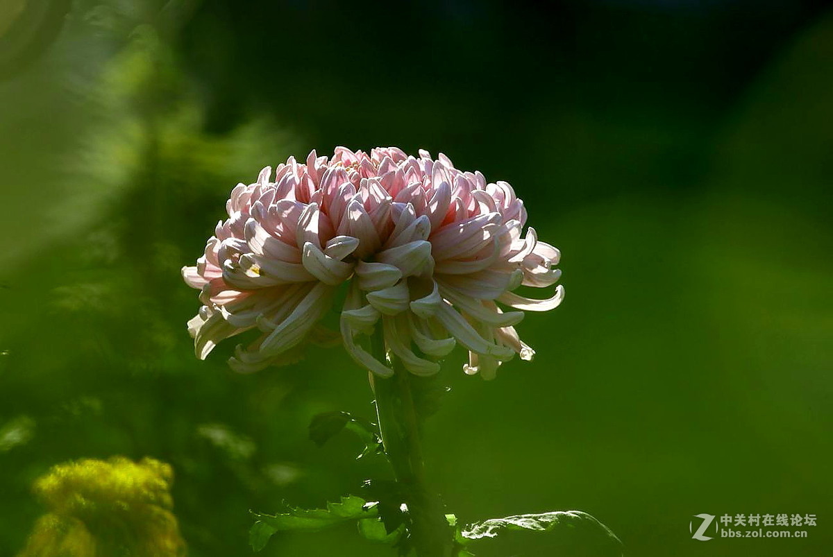 #版主坐堂#【天津版块】2015年11月金钻精华汇总