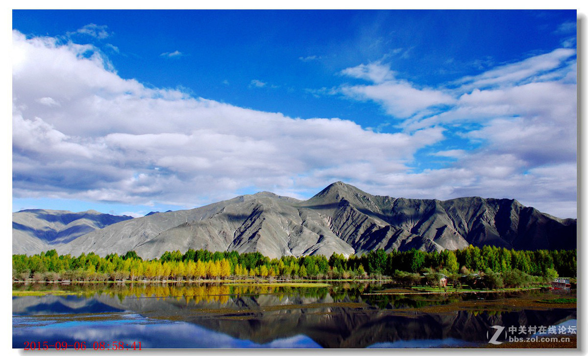 #版主坐堂#【天津版块】2015年11月金钻精华汇总