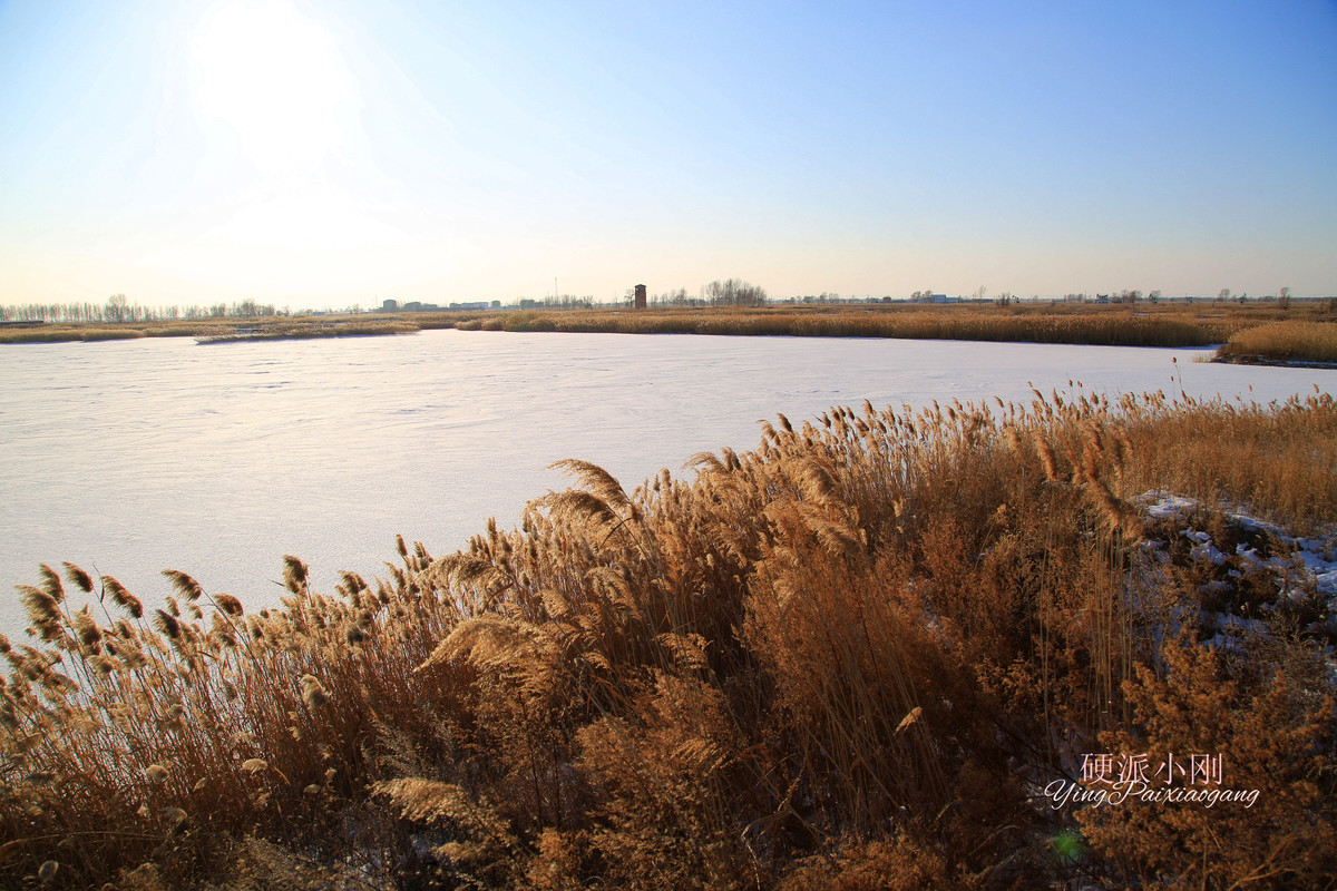 硬派小刚、芦苇，牵着故乡的衣角儿