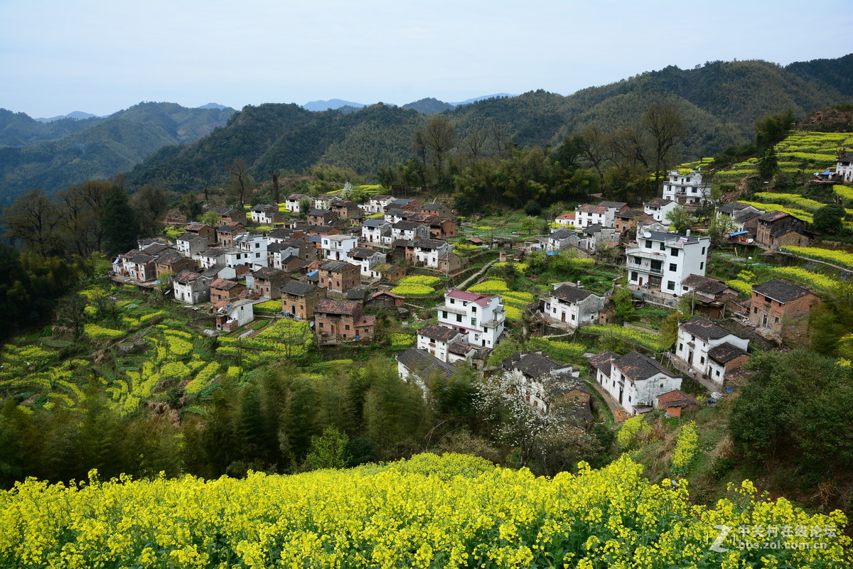 隐藏在大山中的绝佳赏花地—龙池汰