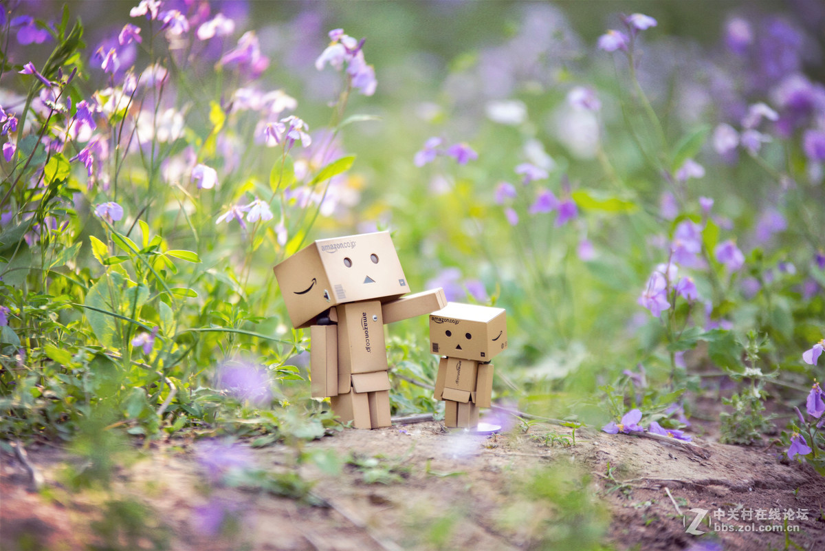 适马70-200 公园溜达一下午交作业