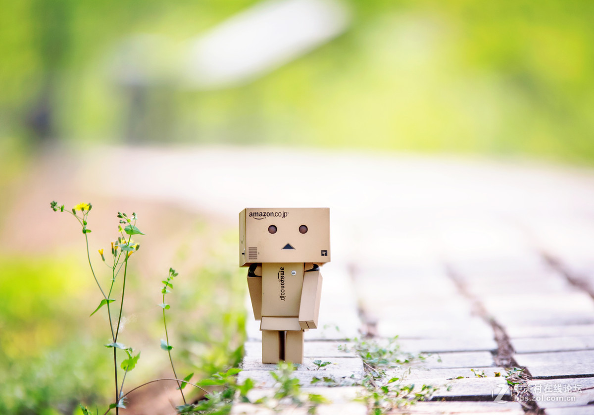 适马70-200 公园溜达一下午交作业