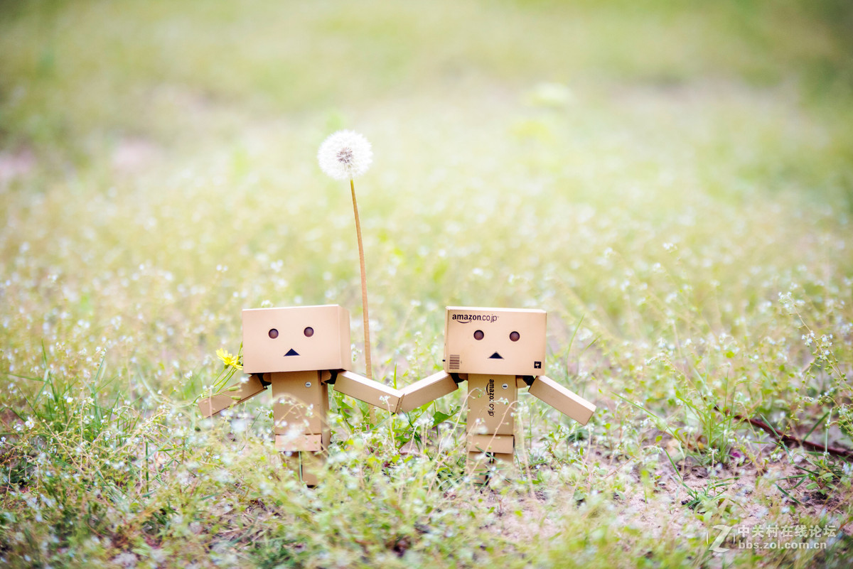 适马70-200 公园溜达一下午交作业