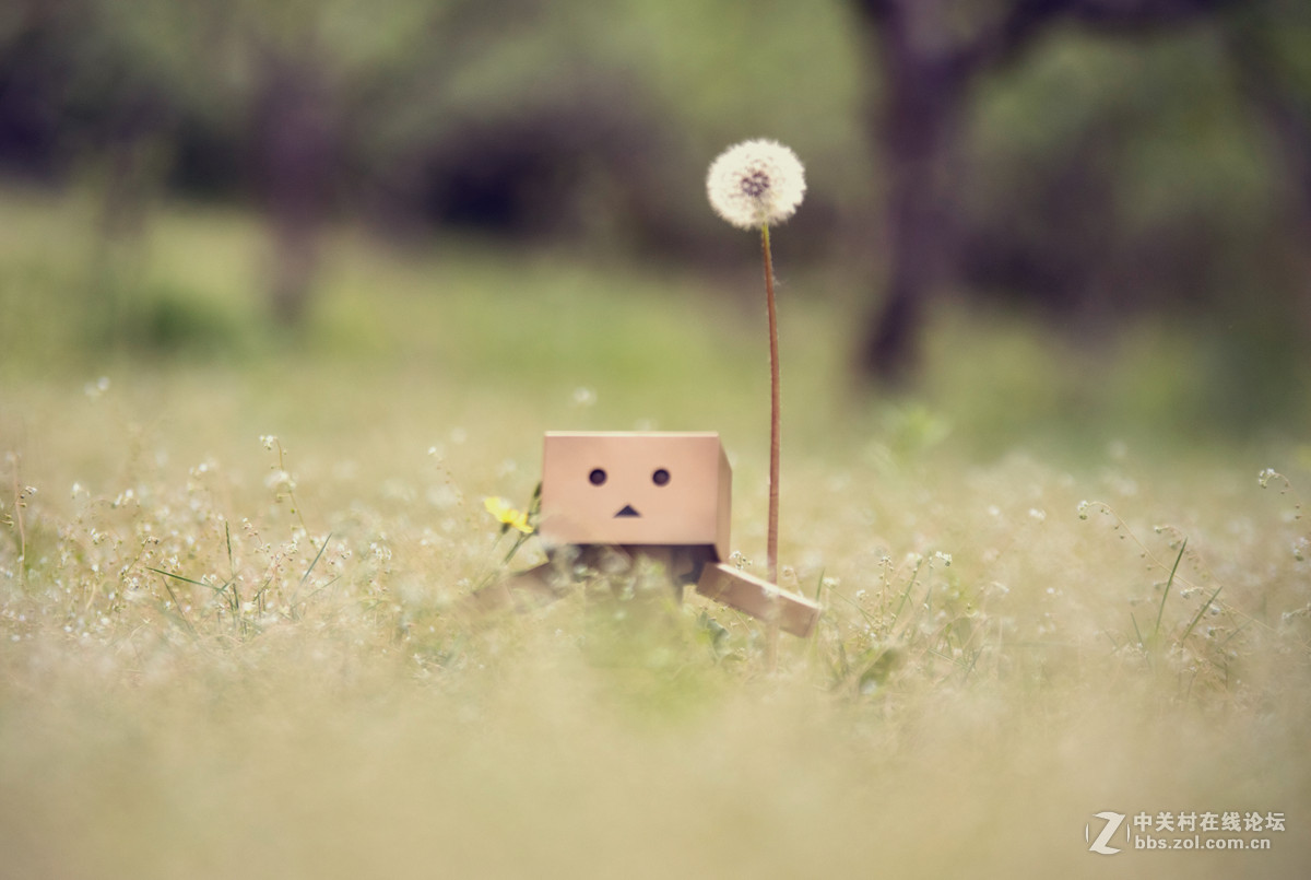 适马70-200 公园溜达一下午交作业