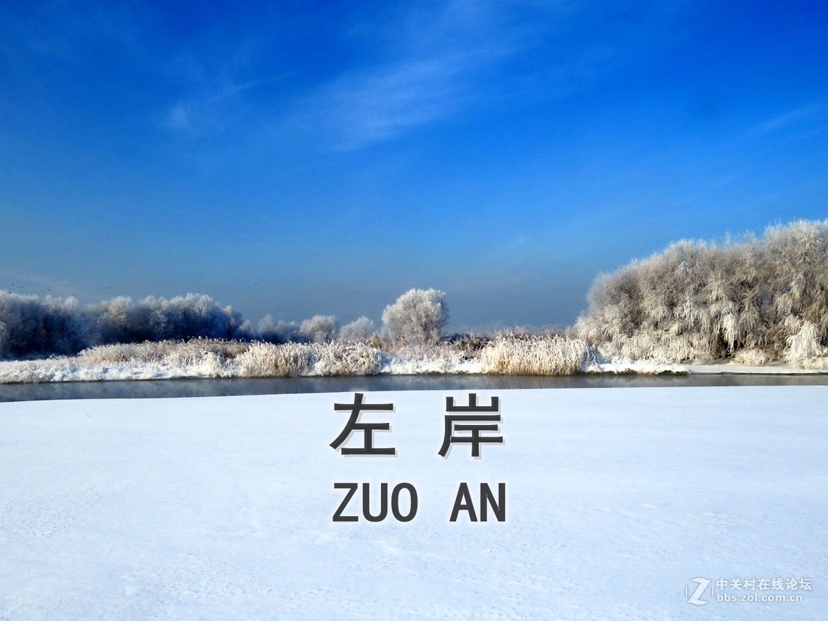 左岸，在雪这方