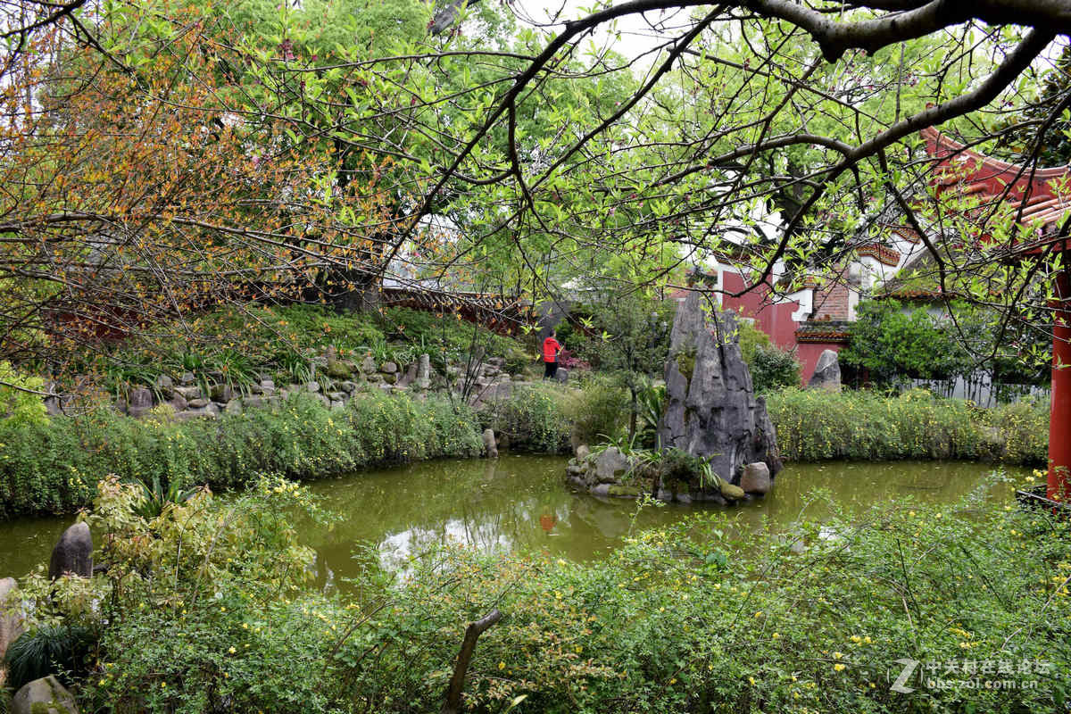 #ZOL月赛-春暖花开#----古庙的春天