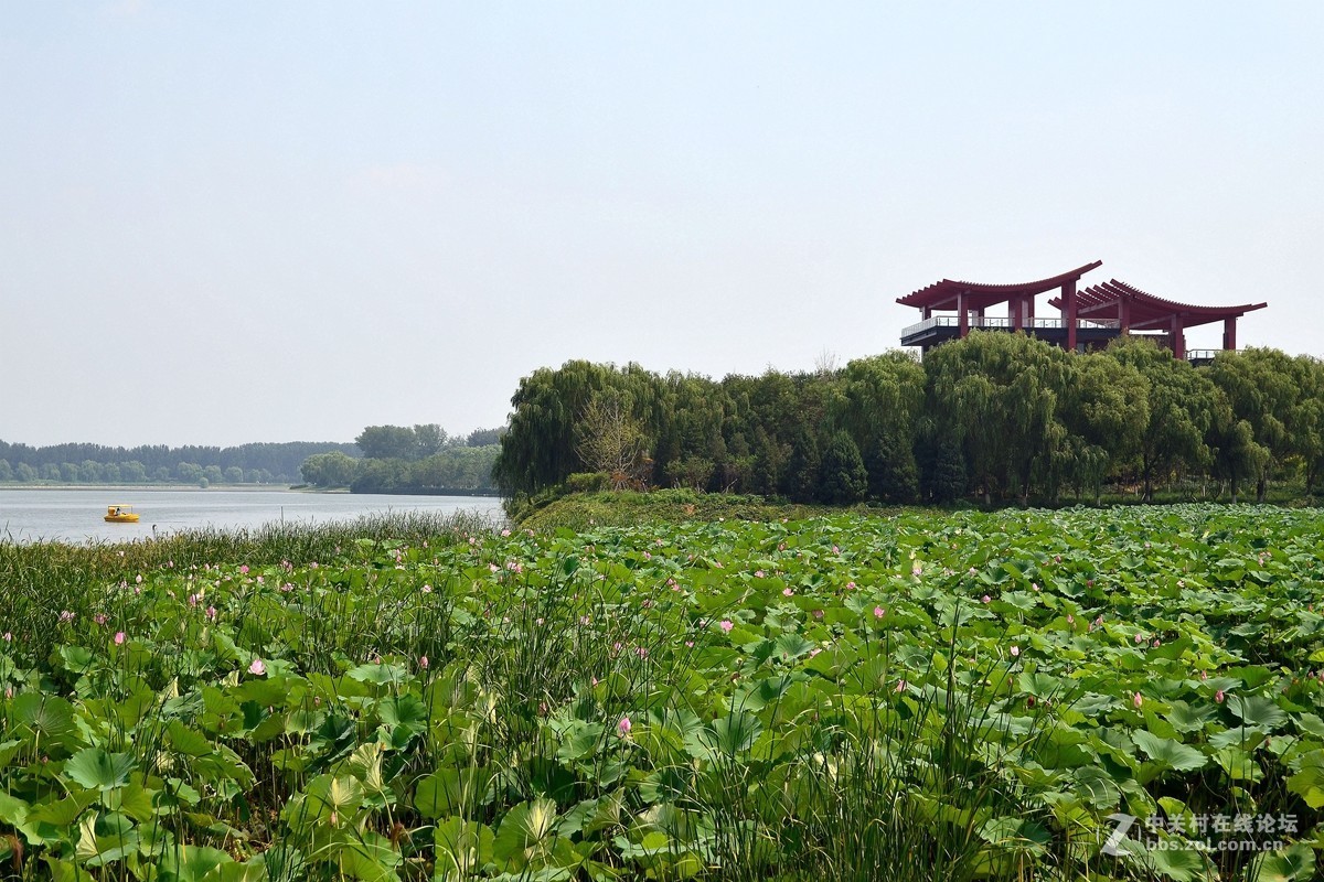 通州大运河湿地公园