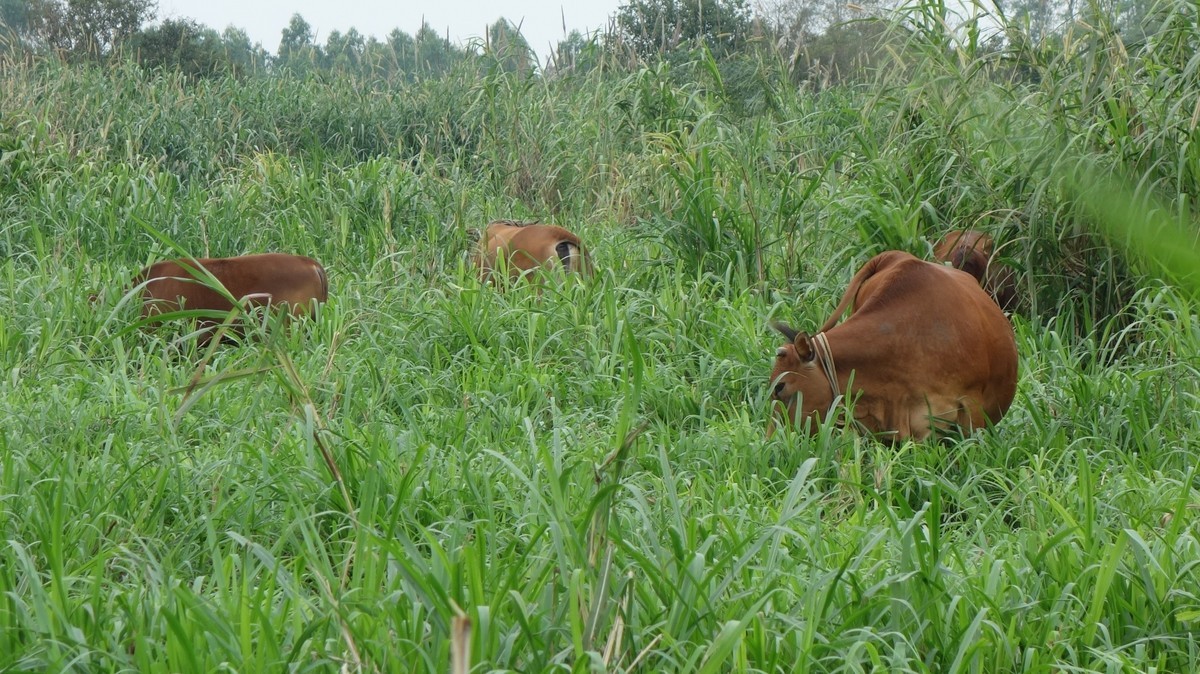 北方天寒地冻，南方草长鹰飞