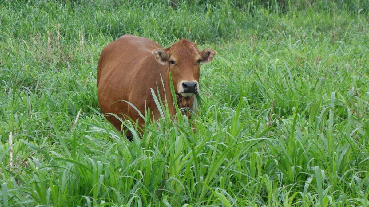 北方天寒地冻，南方草长鹰飞