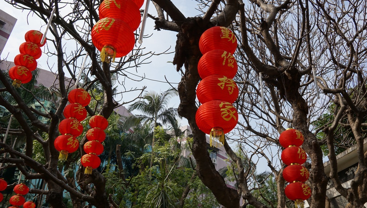 节日公园喜洋洋