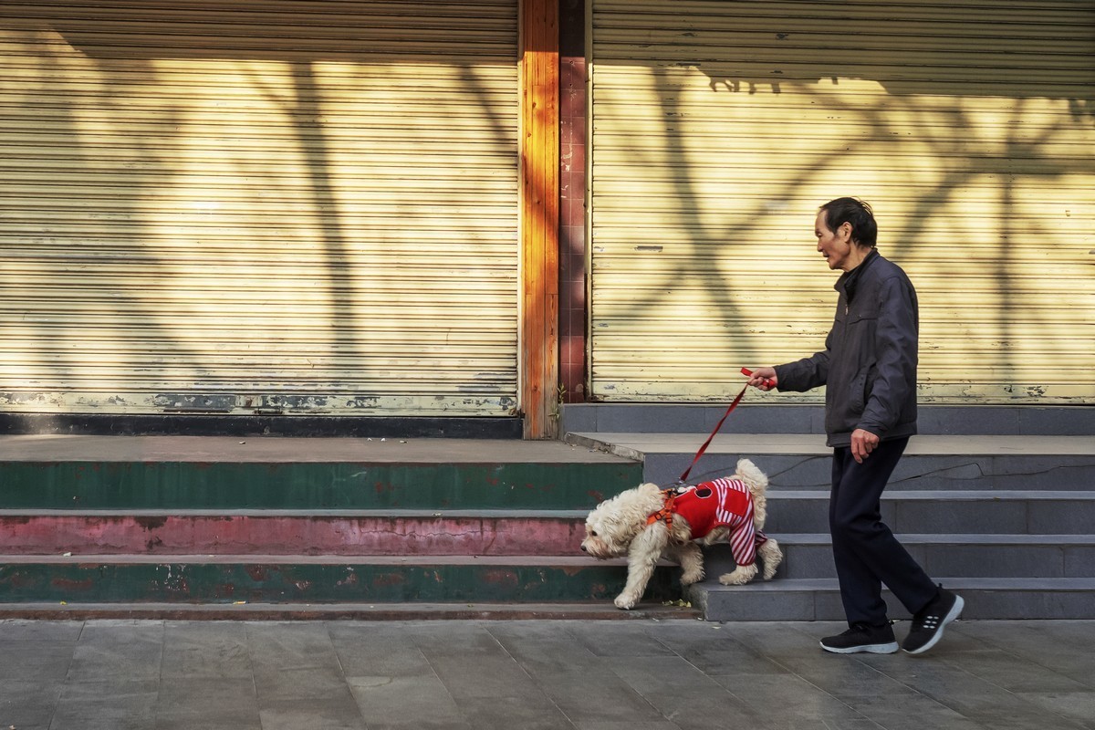 熟悉的城 陌生的人（十二）