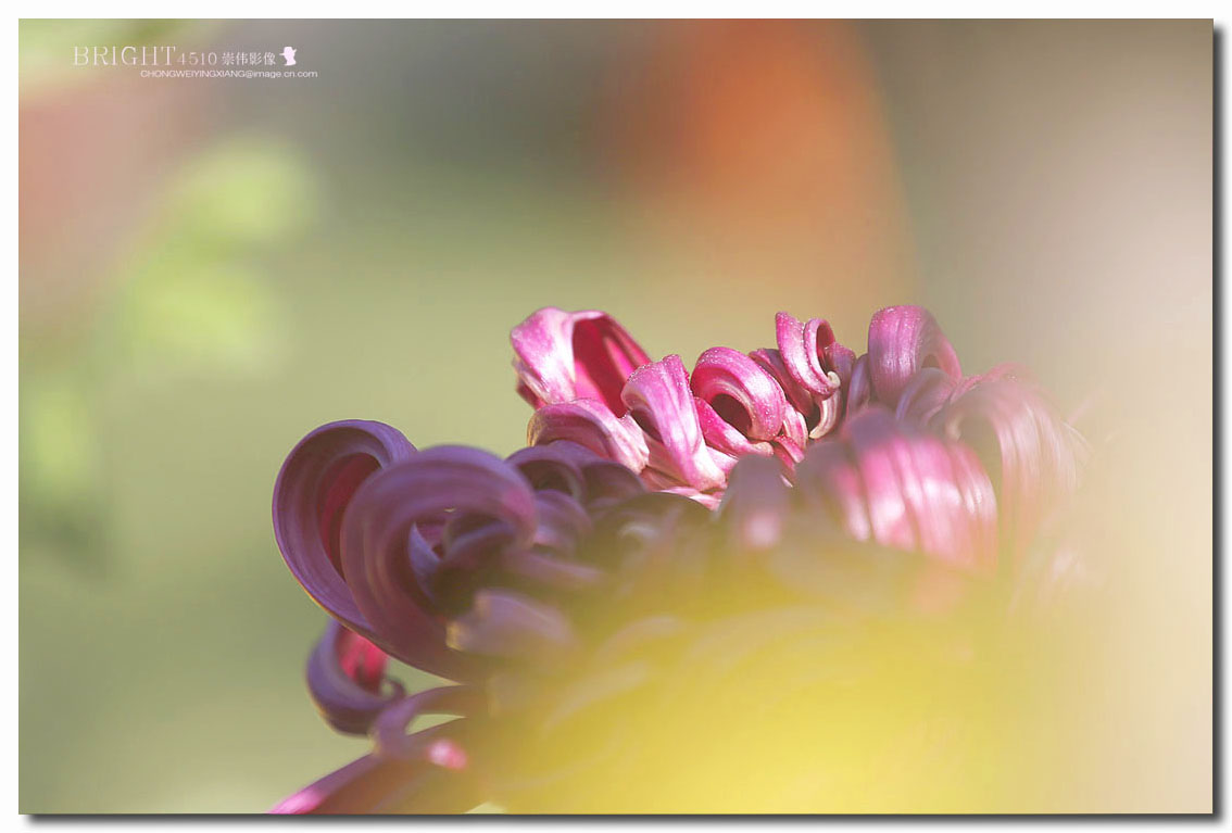 #版主坐堂#【天津版块】2015年11月金钻精华汇总