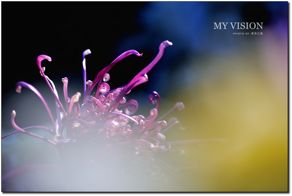 #版主坐堂#【天津版块】2015年11月金钻精华汇总