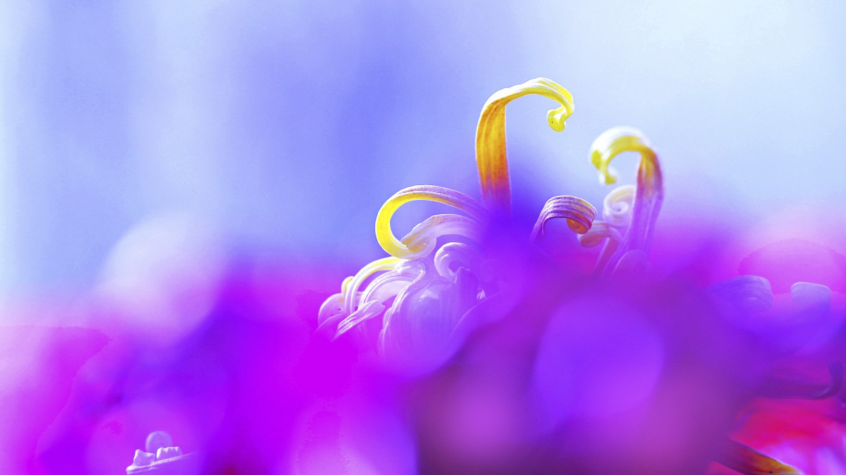 #版主坐堂#【天津版块】2015年11月金钻精华汇总