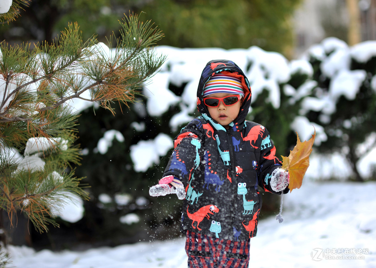 #版主坐堂#【天津版块】2015年11月金钻精华汇总