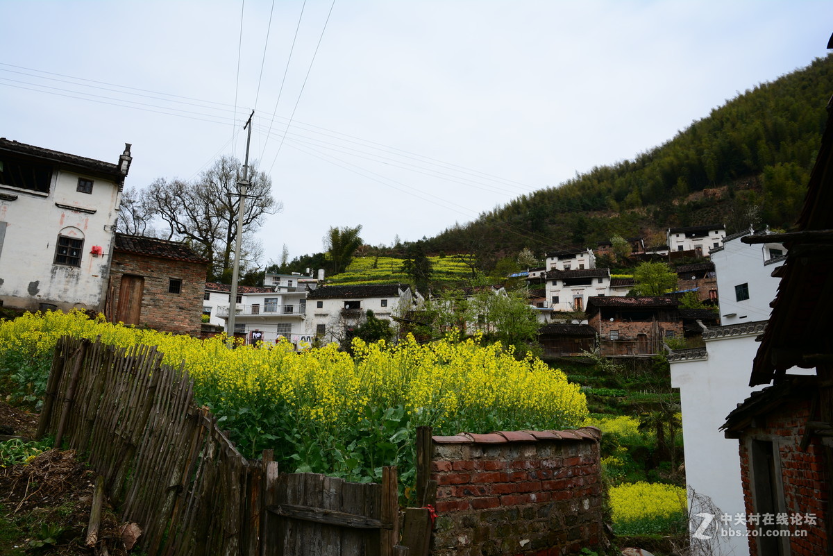 隐藏在大山中的绝佳赏花地—龙池汰