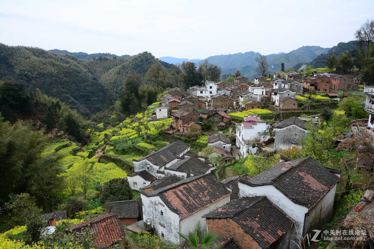 隐藏在大山中的绝佳赏花地—龙池汰