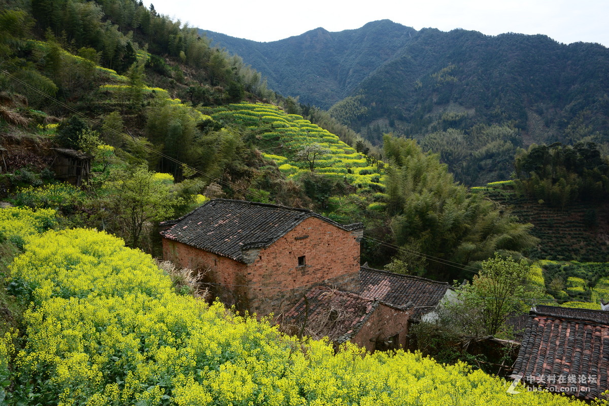 隐藏在大山中的绝佳赏花地—龙池汰