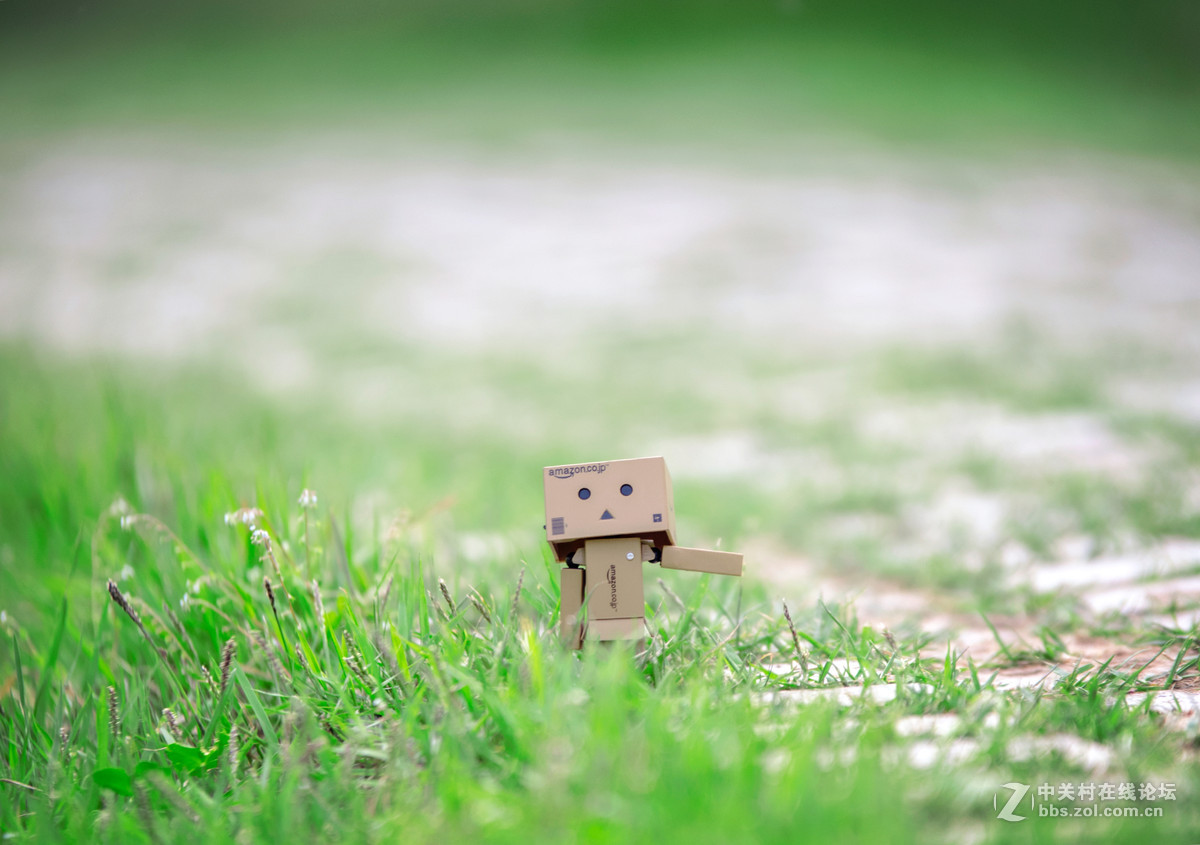 适马70-200 公园溜达一下午交作业