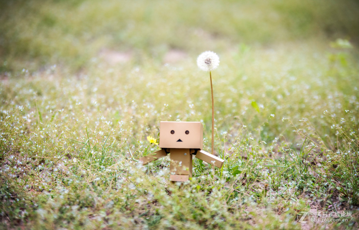 适马70-200 公园溜达一下午交作业