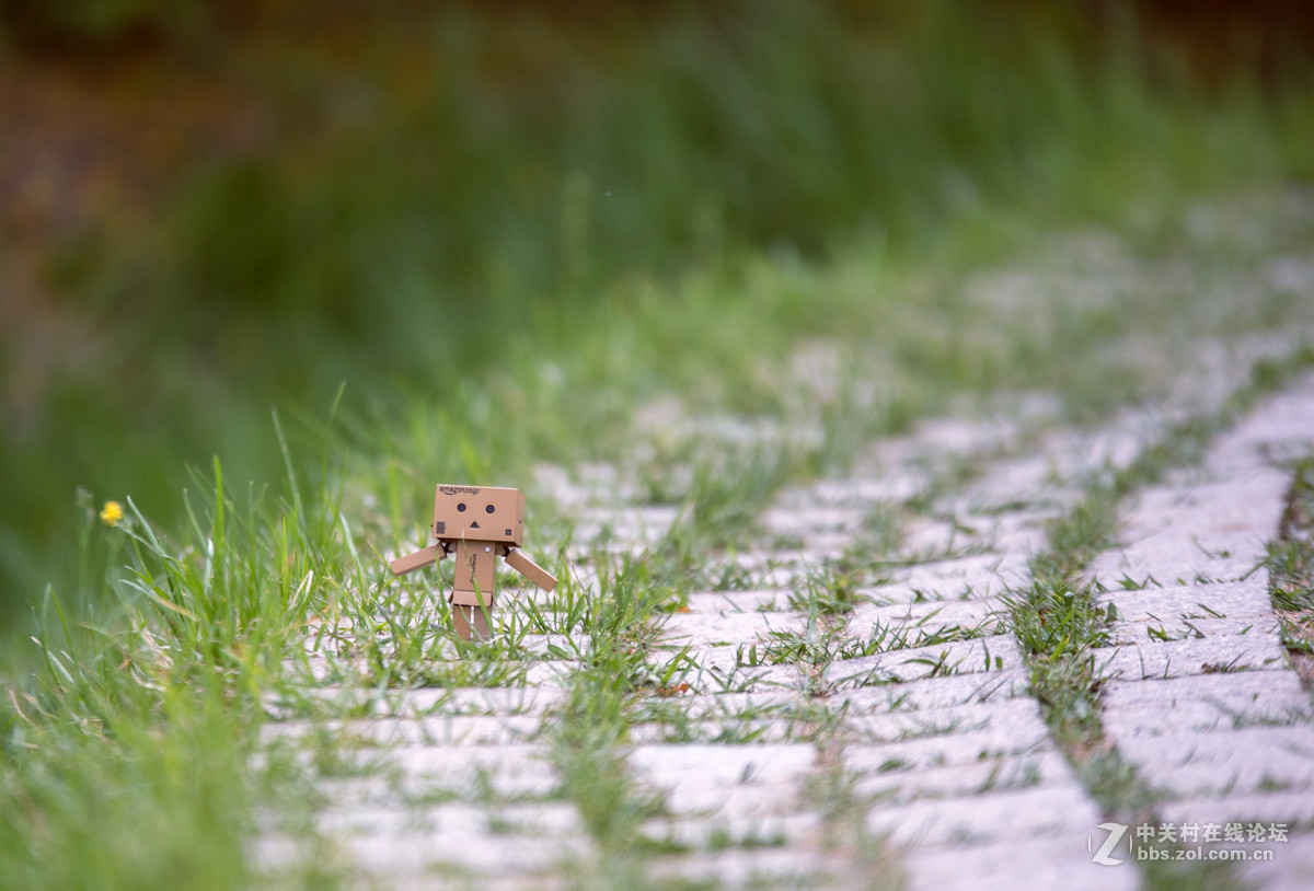 适马70-200 公园溜达一下午交作业