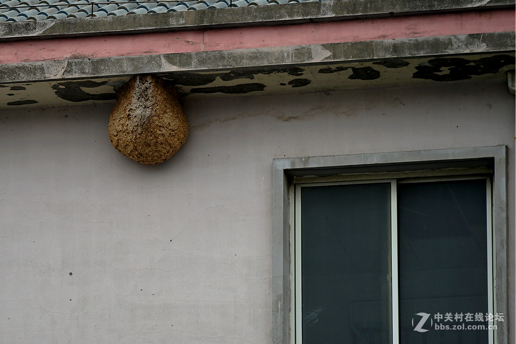 索尼FE 70-300mm f/4.5-5.6 G OSS镜头+A7M2试镜