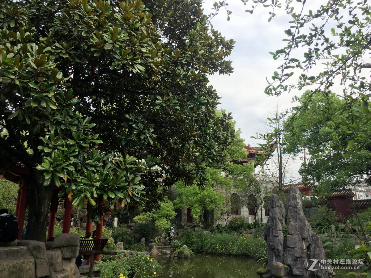 #ZOL月赛-春暖花开#----古庙的春天