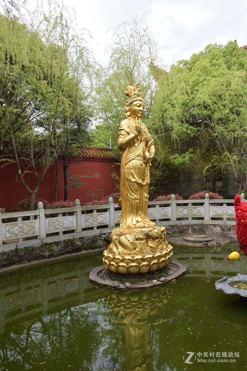 #ZOL月赛-春暖花开#----古庙的春天