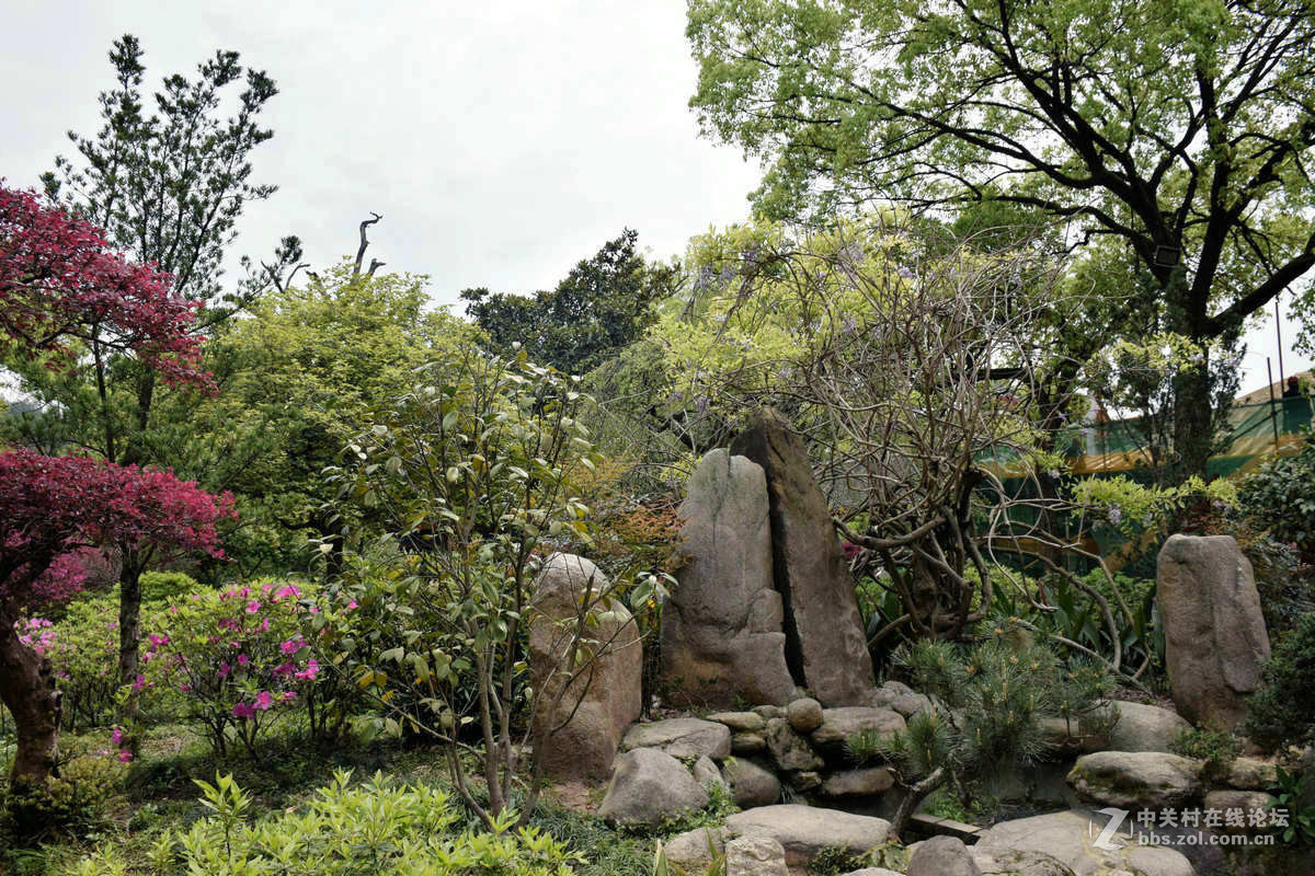 #ZOL月赛-春暖花开#----古庙的春天