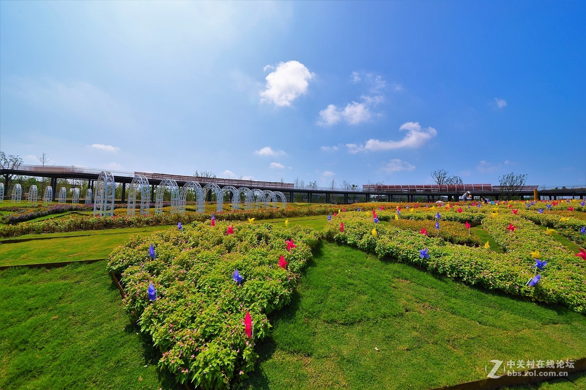 奇蹟花園上海浦江郊野公園