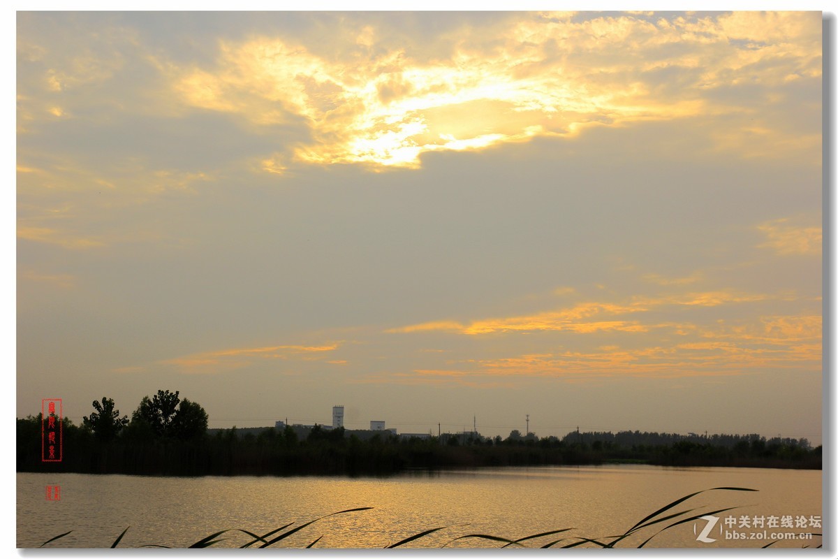 安国湿地夕阳风景（2）