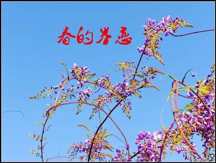 新入适马18-35镜头试镜（六）