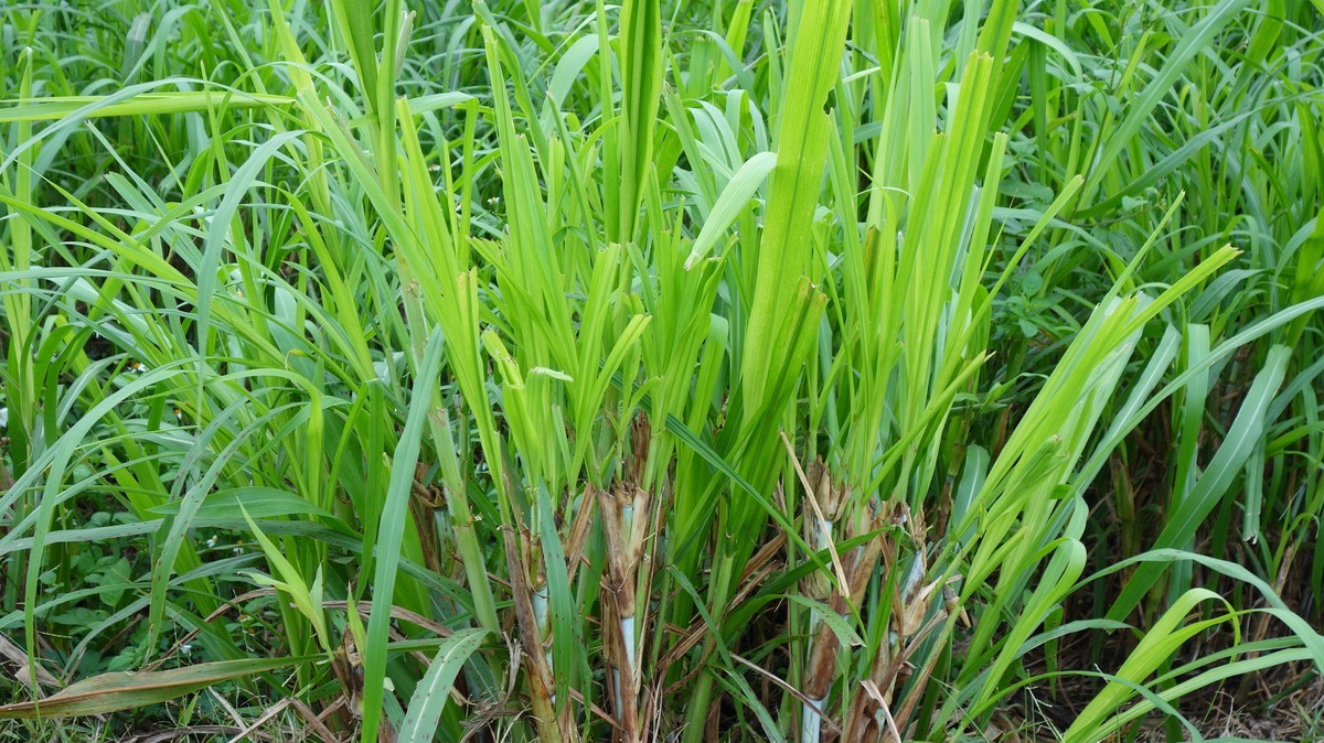 北方天寒地冻，南方草长鹰飞