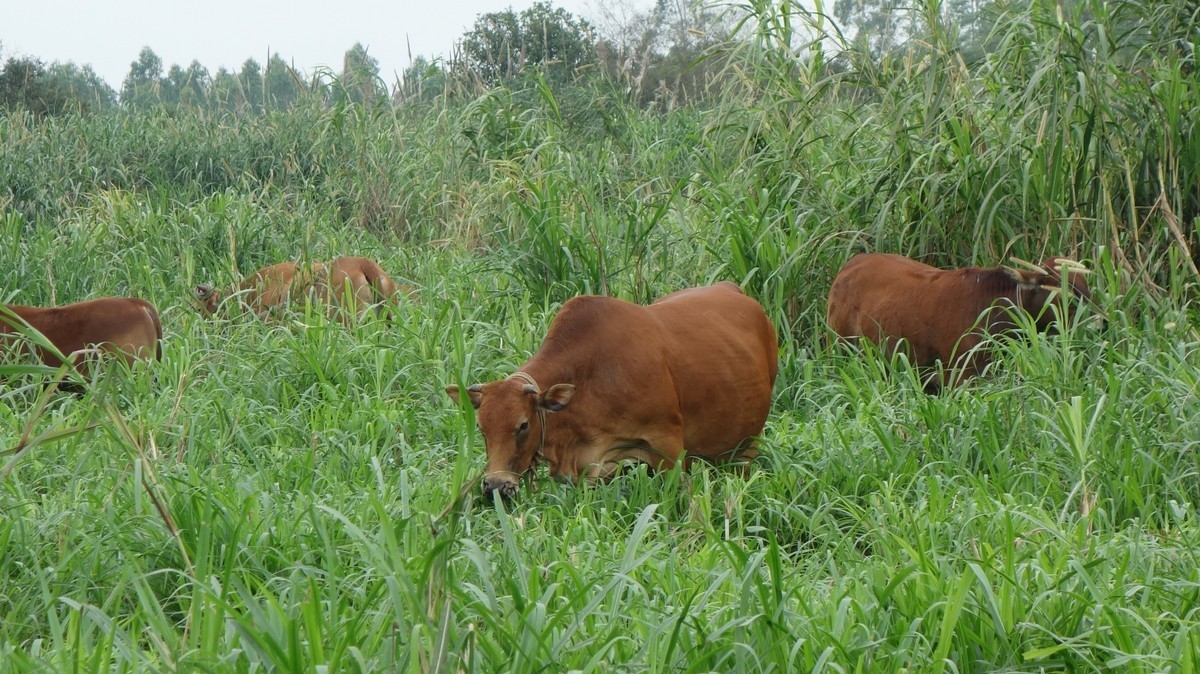 北方天寒地冻，南方草长鹰飞