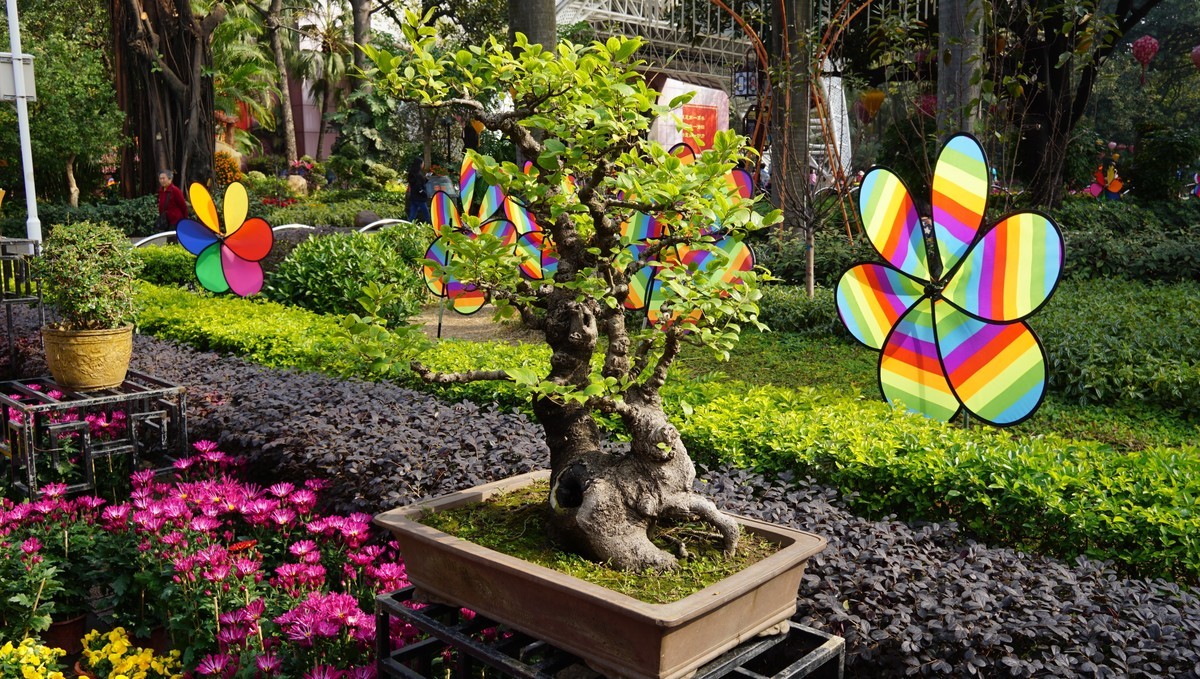 节日公园喜洋洋