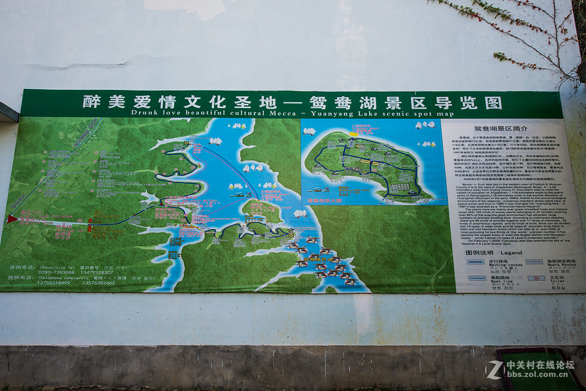 江西婺源鸳鸯湖2015.10.21.