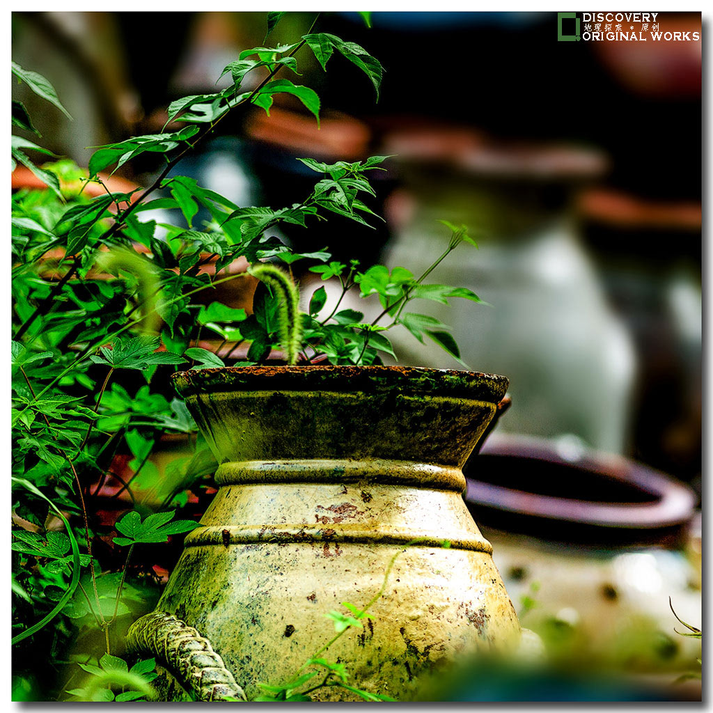 陶瓷瑰宝　风行皖南第二报