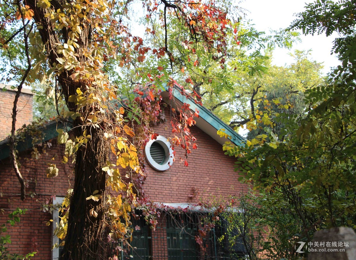 先前拍的，挺杂的