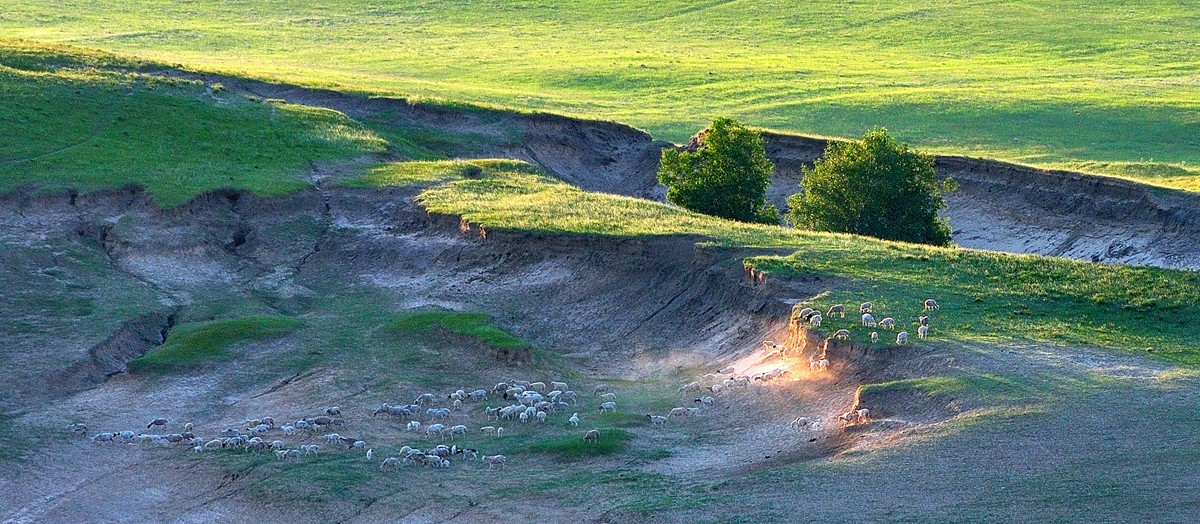 六月草原------乌兰布统[2]!!!