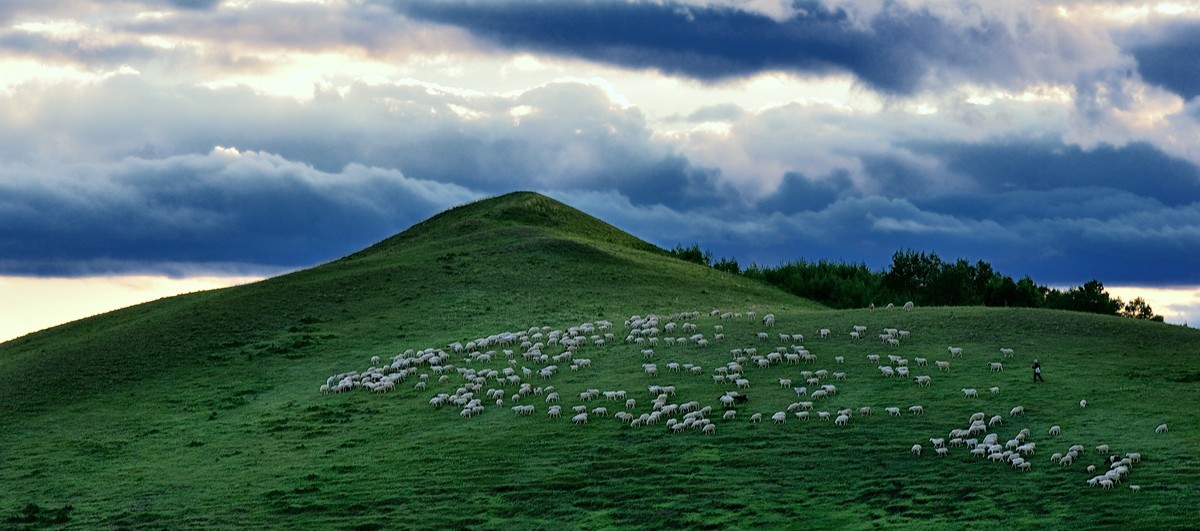 六月草原------乌兰布统[2]!!!