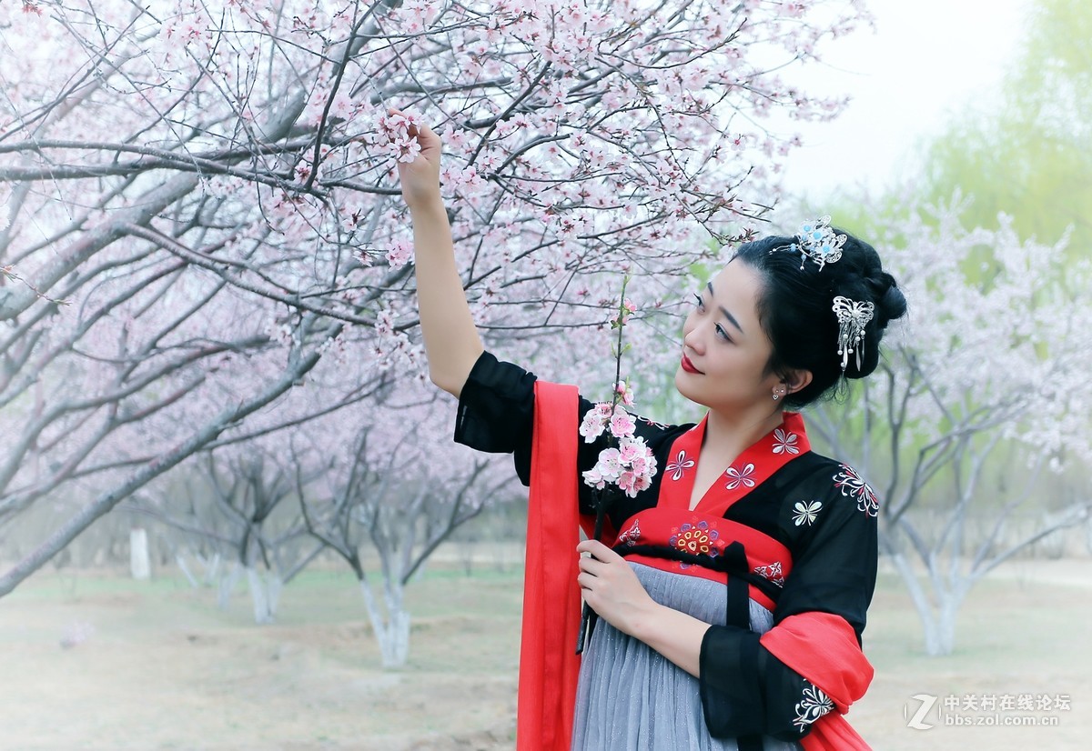 #佳能月赛-人间四月天#三生三世桃花缘