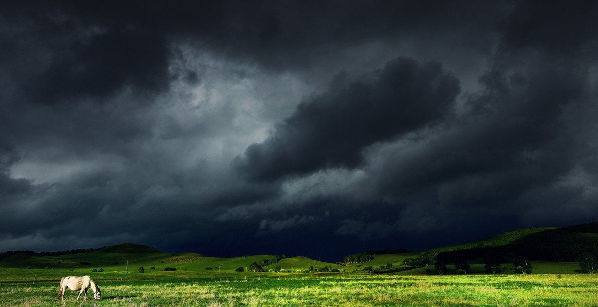 六月草原------乌兰布统[2]!!!