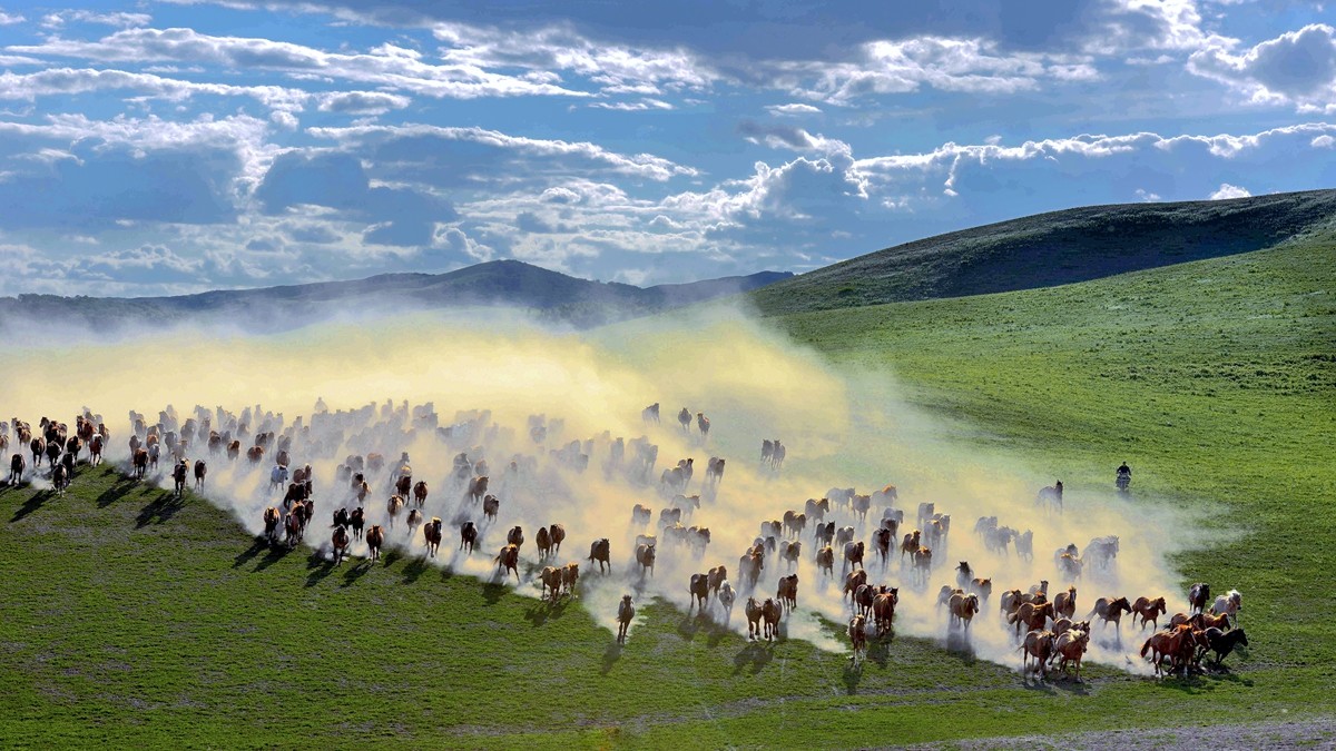 六月草原------乌兰布统[2]!!!