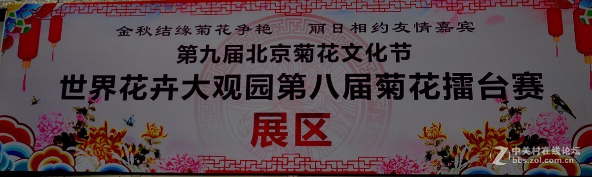 菊展